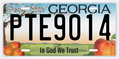 GA license plate PTE9014