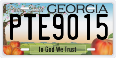 GA license plate PTE9015