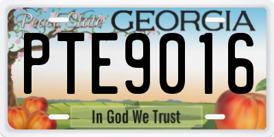 GA license plate PTE9016