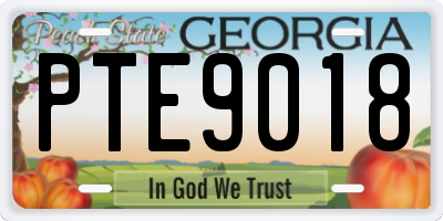 GA license plate PTE9018