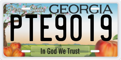 GA license plate PTE9019