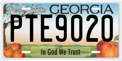 GA license plate PTE9020