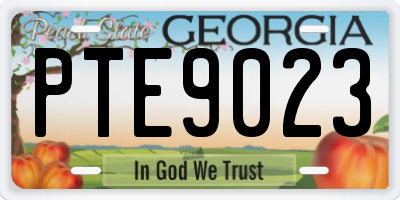 GA license plate PTE9023