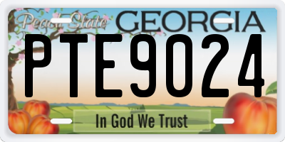 GA license plate PTE9024