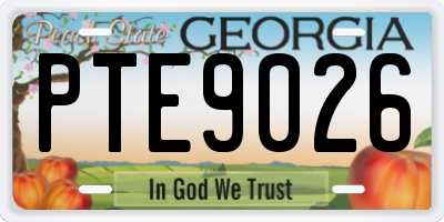GA license plate PTE9026