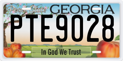 GA license plate PTE9028
