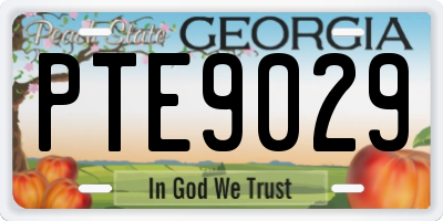 GA license plate PTE9029