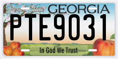 GA license plate PTE9031