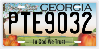 GA license plate PTE9032
