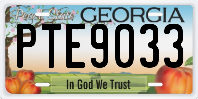 GA license plate PTE9033