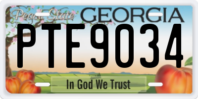 GA license plate PTE9034