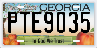 GA license plate PTE9035