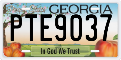 GA license plate PTE9037