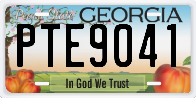 GA license plate PTE9041