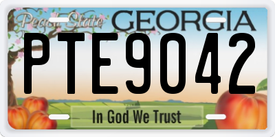 GA license plate PTE9042