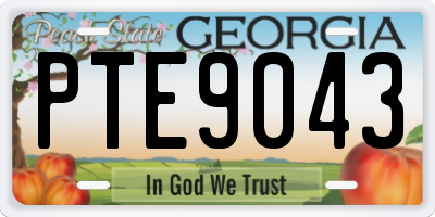 GA license plate PTE9043