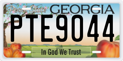 GA license plate PTE9044