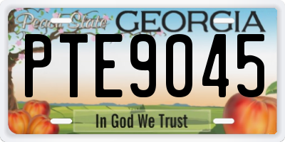 GA license plate PTE9045