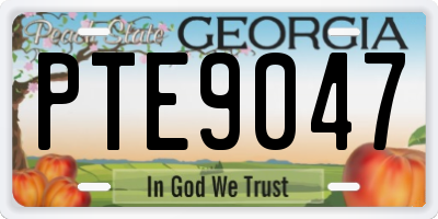 GA license plate PTE9047