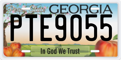 GA license plate PTE9055