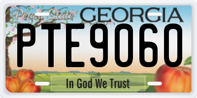 GA license plate PTE9060