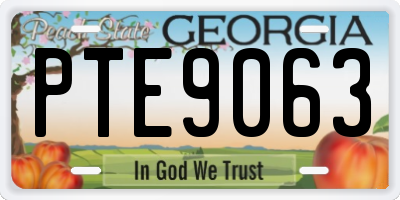 GA license plate PTE9063