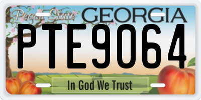 GA license plate PTE9064