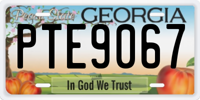 GA license plate PTE9067