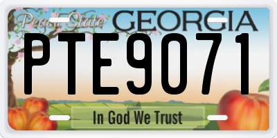 GA license plate PTE9071