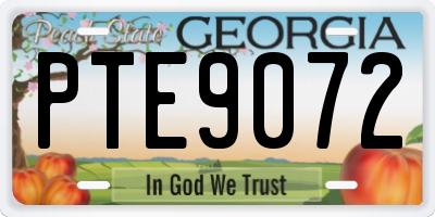 GA license plate PTE9072