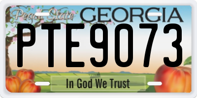 GA license plate PTE9073