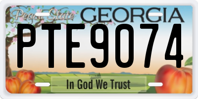 GA license plate PTE9074