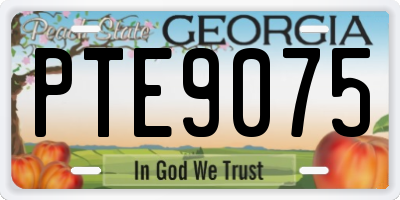 GA license plate PTE9075