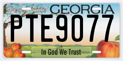 GA license plate PTE9077