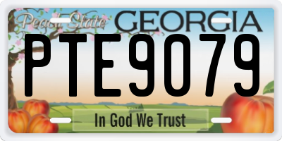 GA license plate PTE9079