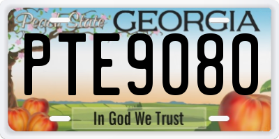 GA license plate PTE9080