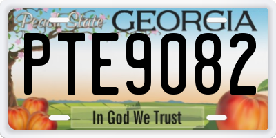 GA license plate PTE9082