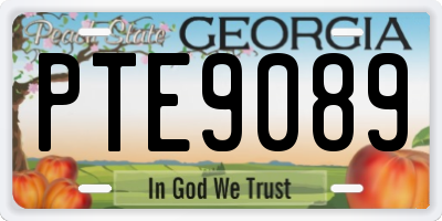 GA license plate PTE9089