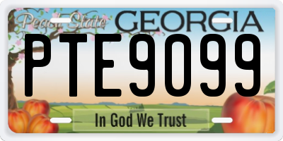 GA license plate PTE9099