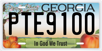GA license plate PTE9100