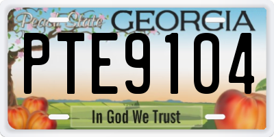 GA license plate PTE9104