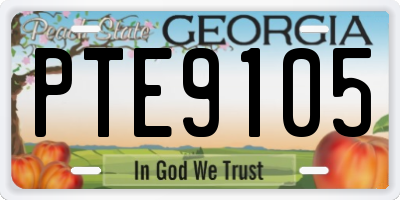 GA license plate PTE9105