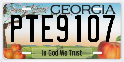 GA license plate PTE9107