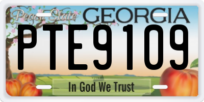 GA license plate PTE9109