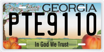 GA license plate PTE9110