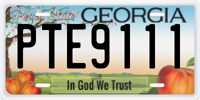 GA license plate PTE9111