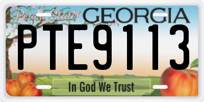 GA license plate PTE9113