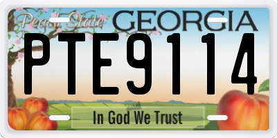 GA license plate PTE9114