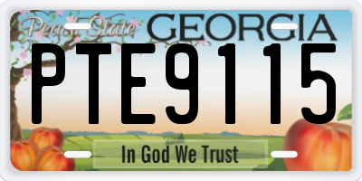 GA license plate PTE9115