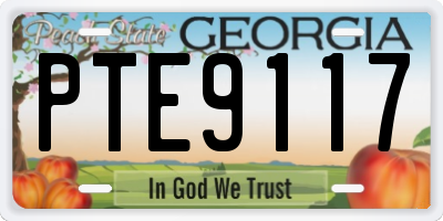 GA license plate PTE9117